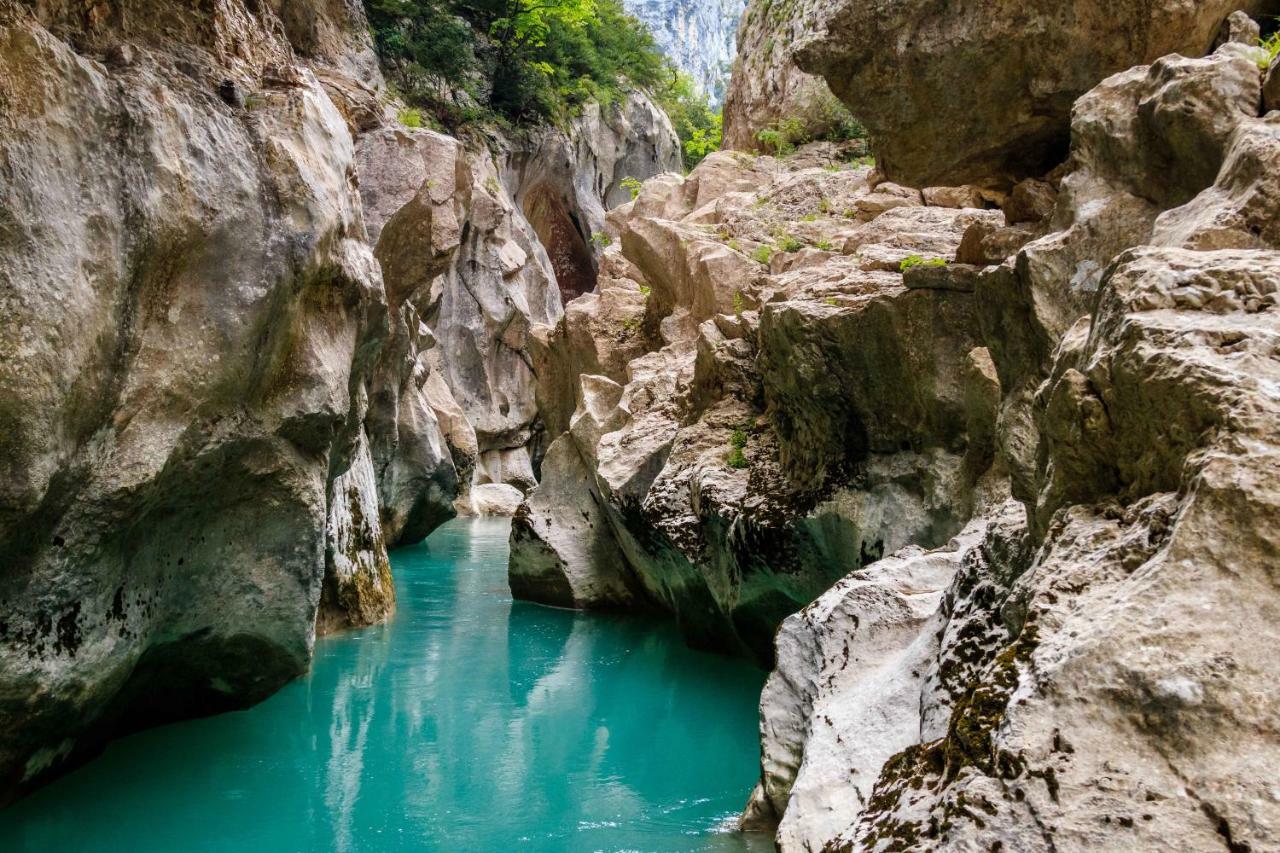 GITE DE LA TRUFFIERE Les Chênes Montagnac  Extérieur photo